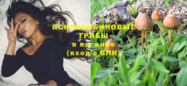гидропоника Строитель