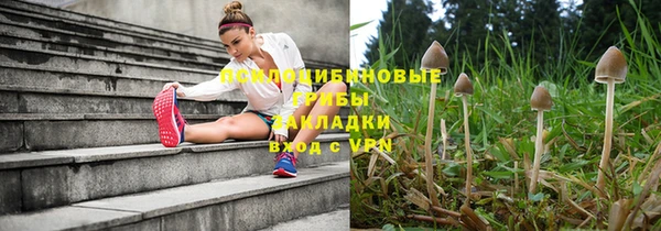 кокс Белокуриха