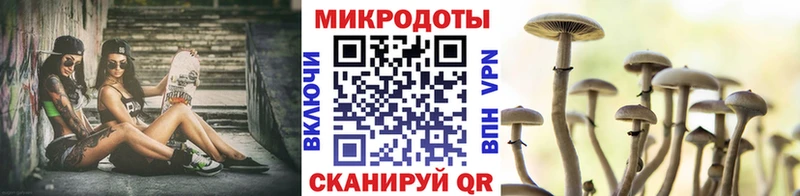 где можно купить   Крымск  Псилоцибиновые грибы Cubensis 
